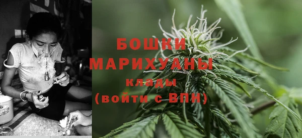 гидра Алексеевка